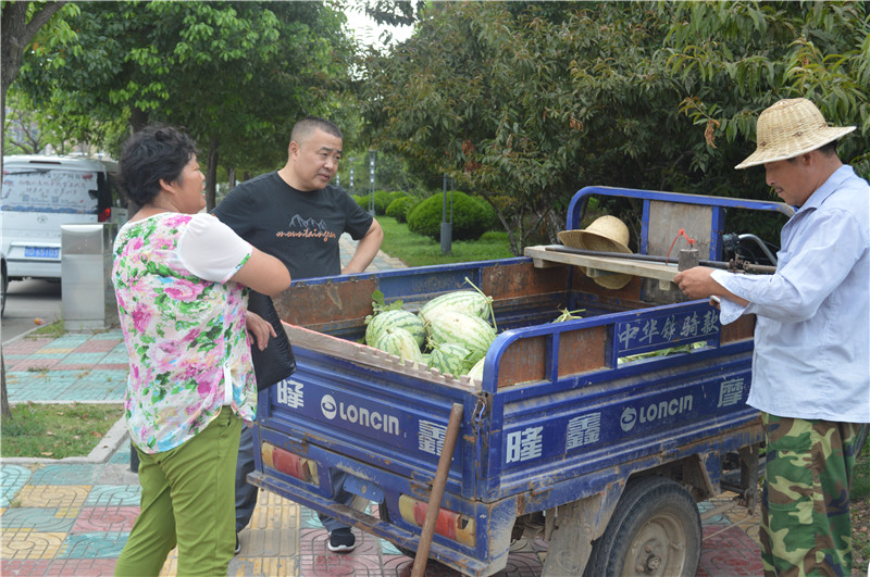 2016727P_h޹˾P_hTͤеıˆTȥ